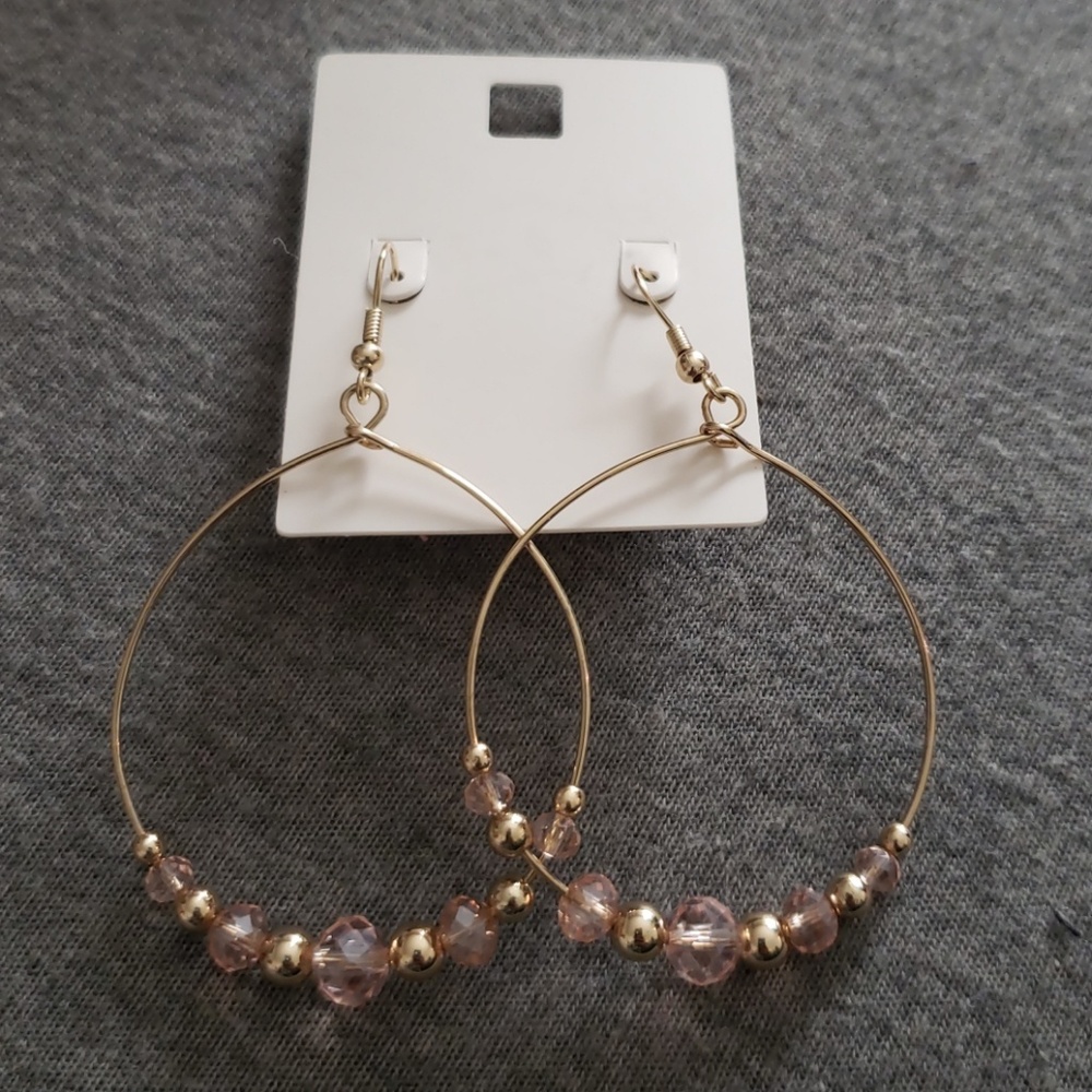 NWT Dangle Earrings